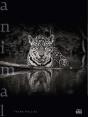 Animal - Preview