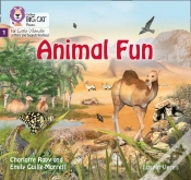 Capa do artigo Animal Fun