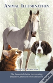 Capa do artigo Animal Illumination