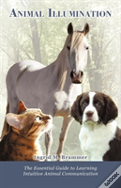 Capa do artigo Animal Illumination