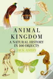 Capa do artigo Animal Kingdom
