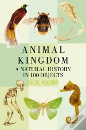 Capa do artigo Animal Kingdom