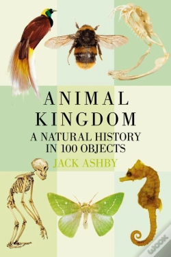Capa do artigo Animal Kingdom