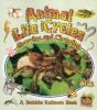 Animal Life Cycles - Preview