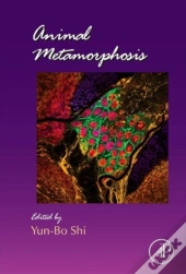 Animal Metamorphosis