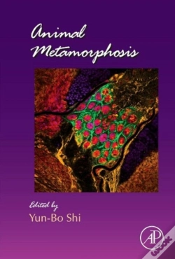 Capa do artigo Animal Metamorphosis