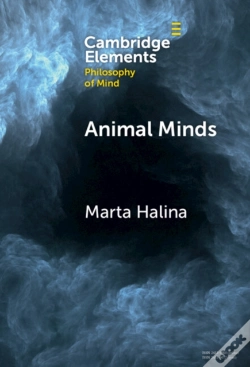 Capa do artigo Animal Minds