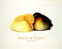 Animal Naps - Preview