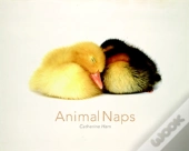 Animal Naps