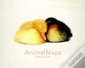 Capa do artigo Animal Naps