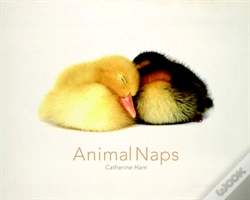 Capa do artigo Animal Naps