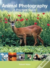 Capa do artigo Animal Photography