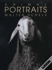 Animal Portraits
