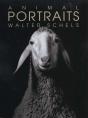 Animal Portraits - Preview