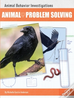 Capa do artigo Animal Problem Solving