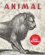 Animal - Preview