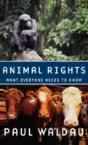Animal Rights - Preview