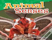 Animal Senses