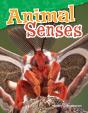Animal Senses - Preview
