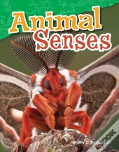 Animal Senses
