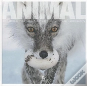 Capa do artigo Animal