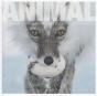 Animal - Preview