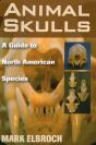 Animal Skulls - Preview