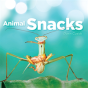 Animal Snacks - Preview
