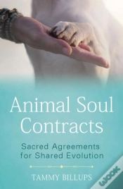 Capa do artigo Animal Soul Contracts