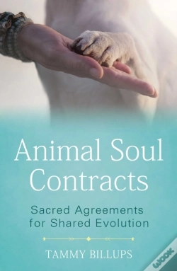 Capa do artigo Animal Soul Contracts