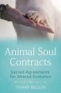 Animal Soul Contracts - Preview