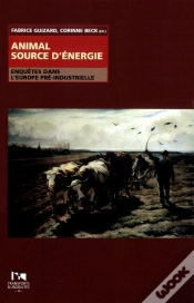 Capa do artigo Animal Source D