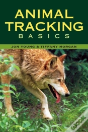 Capa do artigo Animal Tracking Basics