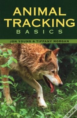 Capa do artigo Animal Tracking Basics