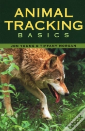 Capa do artigo Animal Tracking Basics