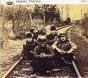 Animal Tracks - CD - Preview