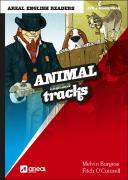 Animal Tracks