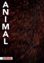 Animal - Preview