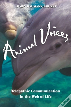 Capa do artigo Animal Voices