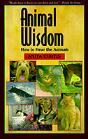 Animal Wisdom - Preview