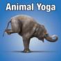 Animal Yoga - Preview