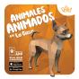 Animales Animados En La Casa - Preview