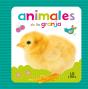 Animales De La Granja - Preview