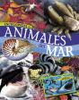 Animales Del Mar - Preview