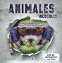 Animales Increibles - Preview