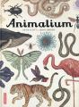 Animalium - Preview