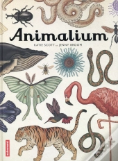 Animalium
