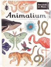 Animalium