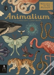 Capa do artigo Animalium