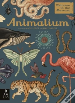 Capa do artigo Animalium